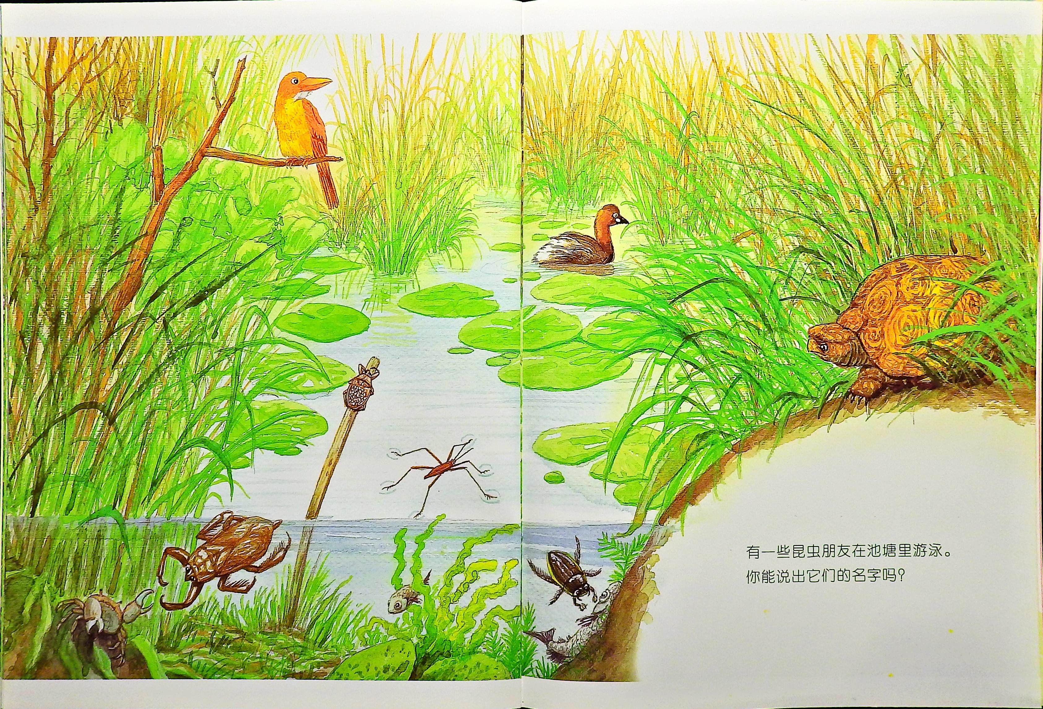 快来找我吧 (09),绘本,绘本故事,绘本阅读,故事书,童书,图画书,课外阅读